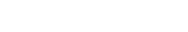 GoTech Fleet