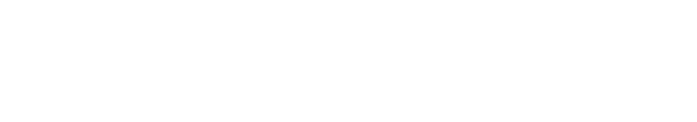 GoTech Fleet